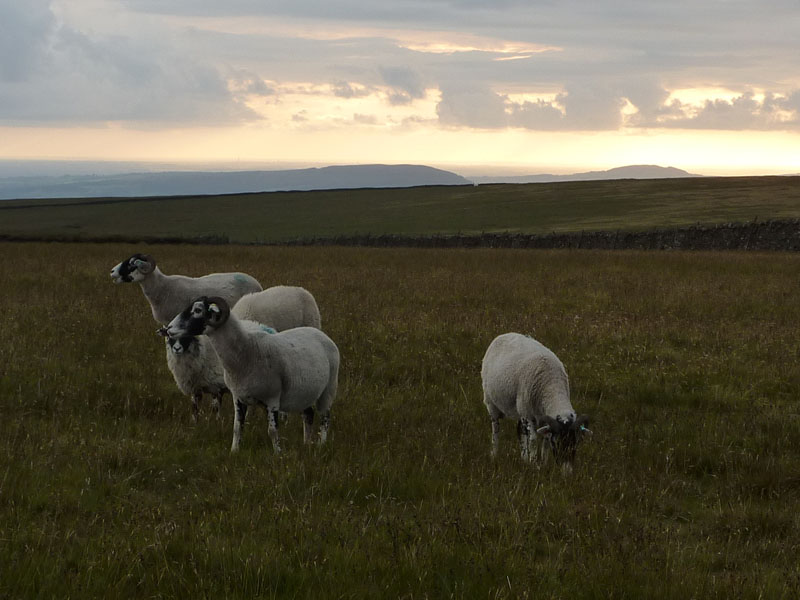 Pendle Hill